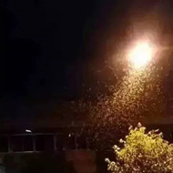 白蟻危害大，4-6月份進入其活躍期 防治白蟻不容忽視！